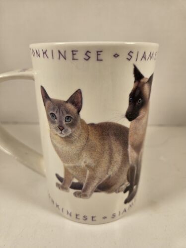 Dunoon Katze Kaffeebecher Burmesisch Siamesisch Tabby Asiatisch Tonkinesisch - Bild 3 von 3