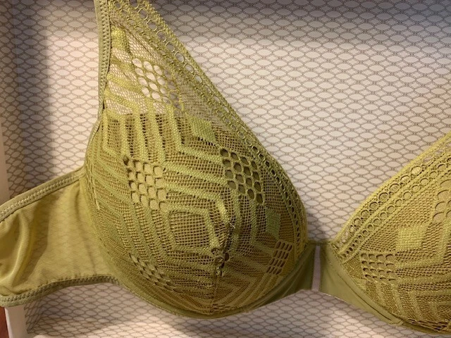 Nuevo Sujetador Passionata Ondine Contorno de Encaje, Nuevo con Etiquetas 36C Color Verde Foto 2 de 3