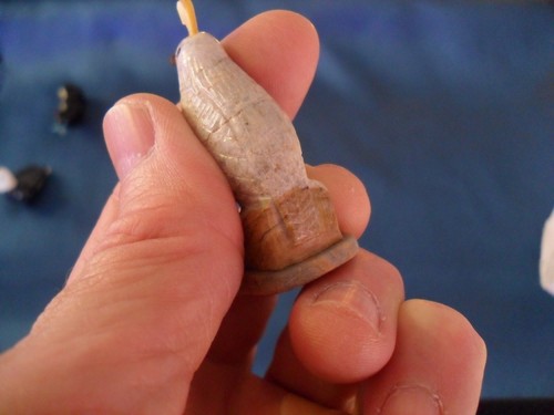 Quail Zuni Fetish Animal Figure Carved Stone signed Darrin Boone - Picture 15 of 15