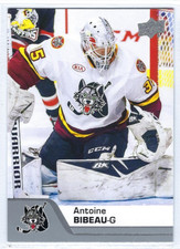 2020-21 Upper Deck AHL #14 Antoine Bibeau (goalie)