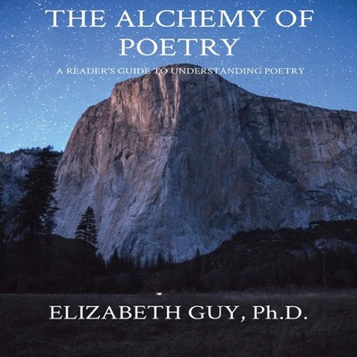 THE ALCHEMY OF POETRY A READER'S GUIDE TO UNDERSTANDING POETRY El