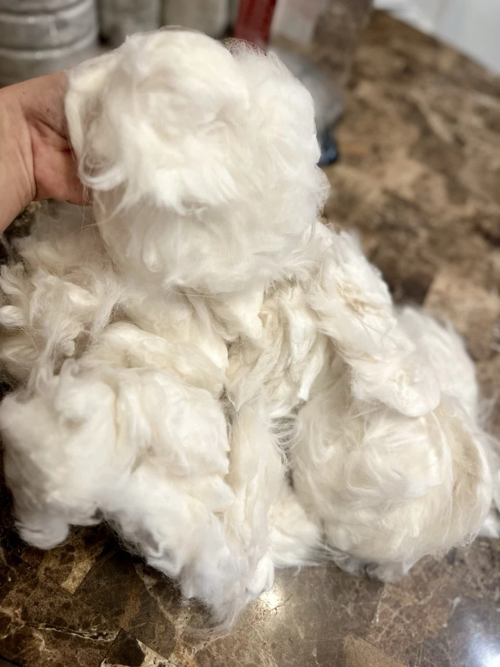 37 Oz Of Angora Wool Fiber - Image 4 of 4