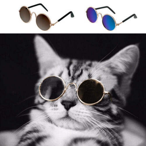 Cute Pet Cat Glasses UV Sunglasses Protection Eye Wear Funny Kitty Kitten Toys