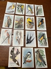 ARM & HAMMER USEFUL BIRDS OF AMERICA 10th SERIES cow brand baking soda set 15