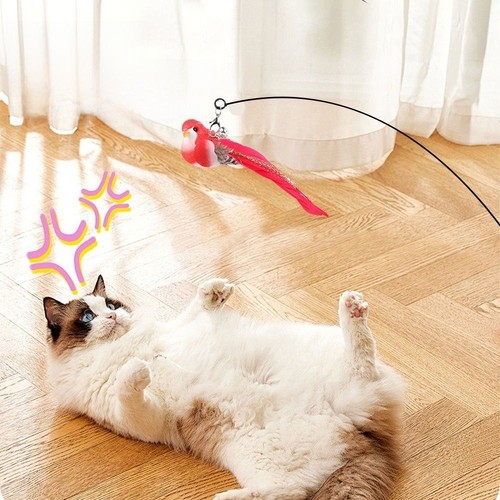 Simulation Vogel interaktives Katzen feder spielzeug