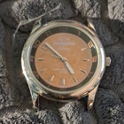 Disney Parks Disney Quartz Wristwatch, Stainless Steel Back, Japan Movement — photo 1