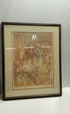 Estampe sauvage guépard signée Graziella Zappa 1980 art encadré 32,5x26 vintage