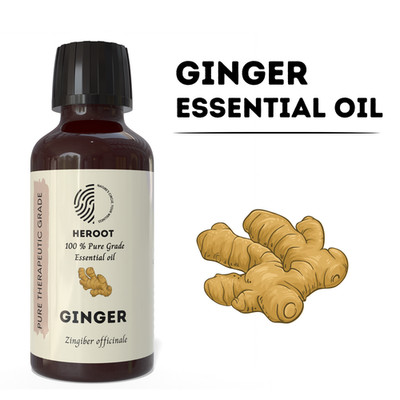 Heroot Ginger Pure Essential Oil 10ml for Diffuser Aromatherapy Home Fragrance