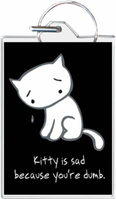 Sad Kitty You're Dumb Keychain