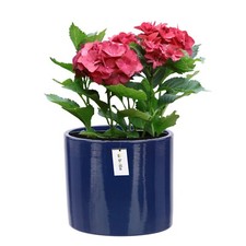 Blumentopf Blumenübertopf Gehäuse 3 Größen, 7 Farben Oberfläche Modern Glamour