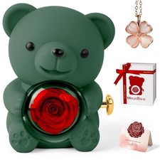 Cute Teddy Bear with Preserved Rose - A Real Rose Flower in Bear with Green