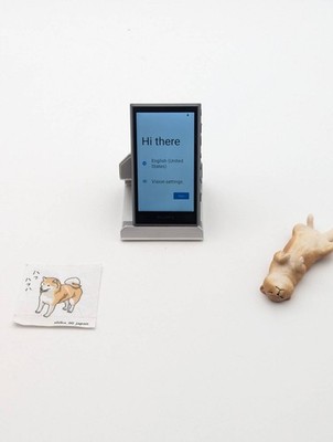 SONY NW-A306 gray WALKMAN 32GB Hi-Res Multilingual OK (JP Model