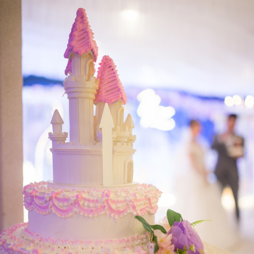 Cake Dummies Birthday Cakes Display Fake Cake Cake Cake Dummies eBay