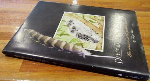 DAYLESFORD NATURE Diary: Six SEASONS in FOOTHILL FORESTS - Tanya Loos. in MELB - Picture 2 of 12