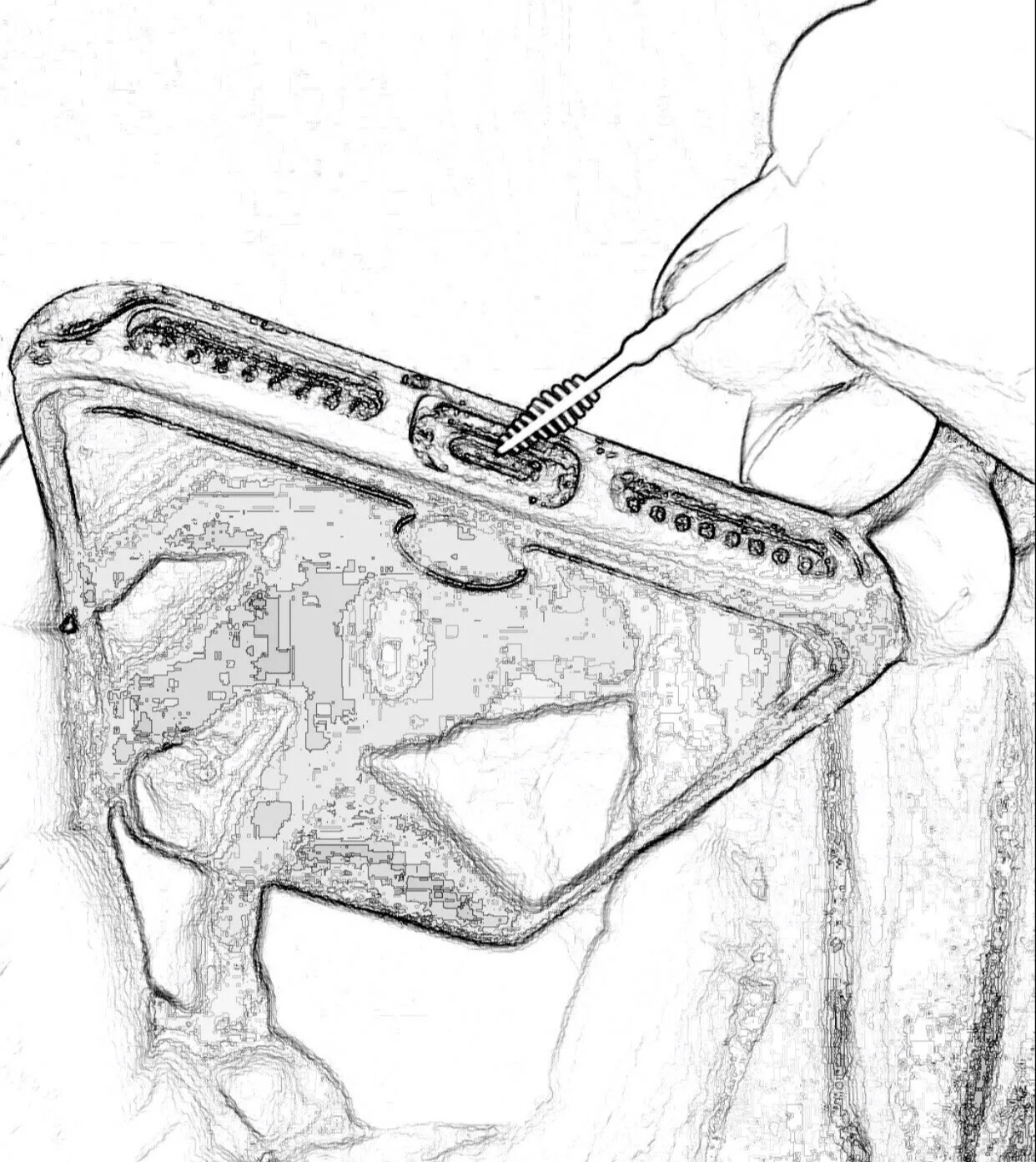 Picture 6 of 6