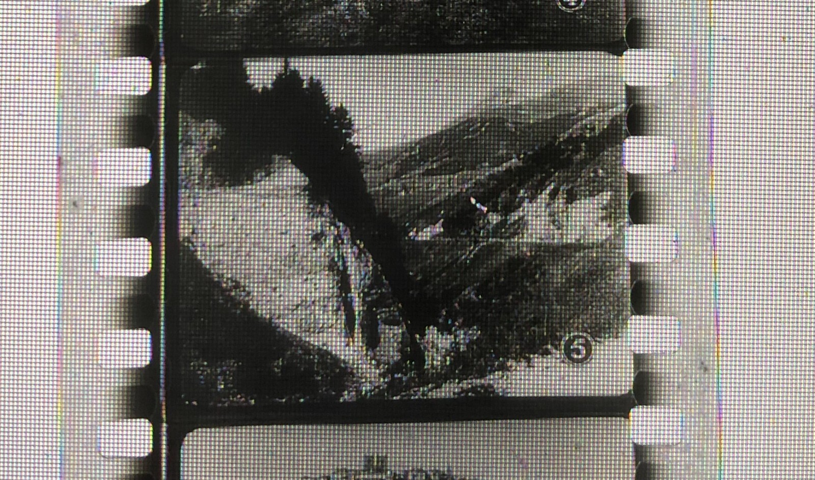 Picture 5 of 13