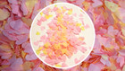 Biodegradable Wedding Tissue Paper Confetti - Pale Yellow and Pale Pink