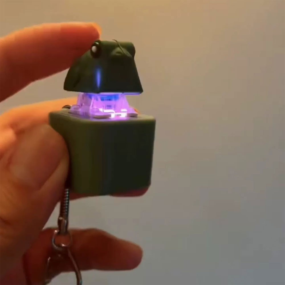 Rechargeable Croaking Frog Keychain Fidget Keychain Adult US