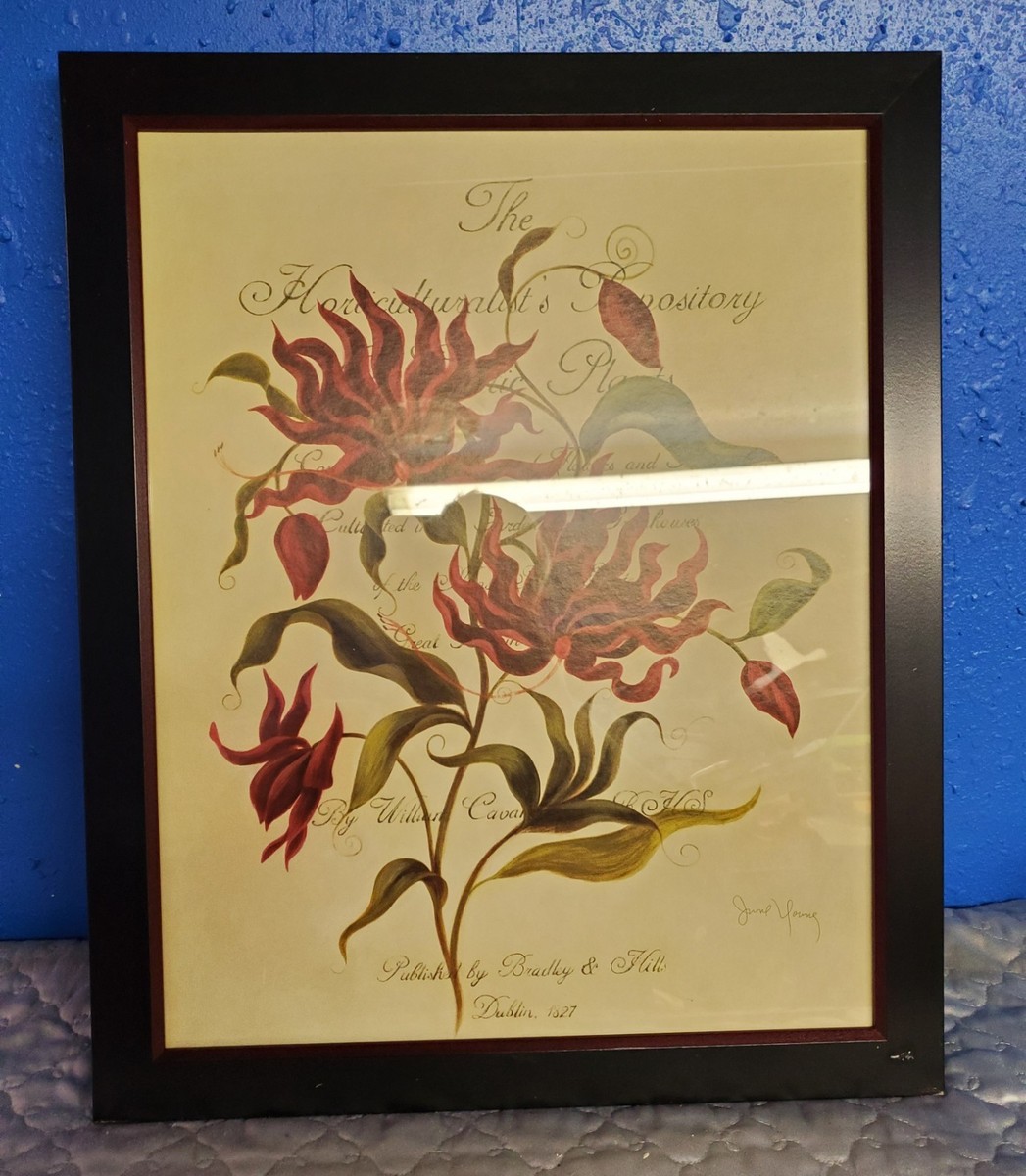Home Interiors framed pictures Lot Of 2 Botanical Passion 23x19