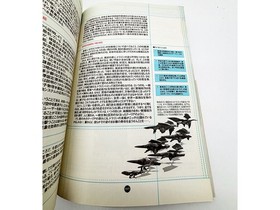 SS Panzer Dragoon Zwei Official Guidebook Strategy Sega Saturn Used