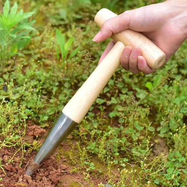 Sow Dibber Garden Hole Punch Dibble Tool And Plants Gardening Tool