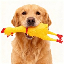 Dog Squeaky Toy Chew Resistant Self-Entertainment Squeak Chicken Pet Sound Toy