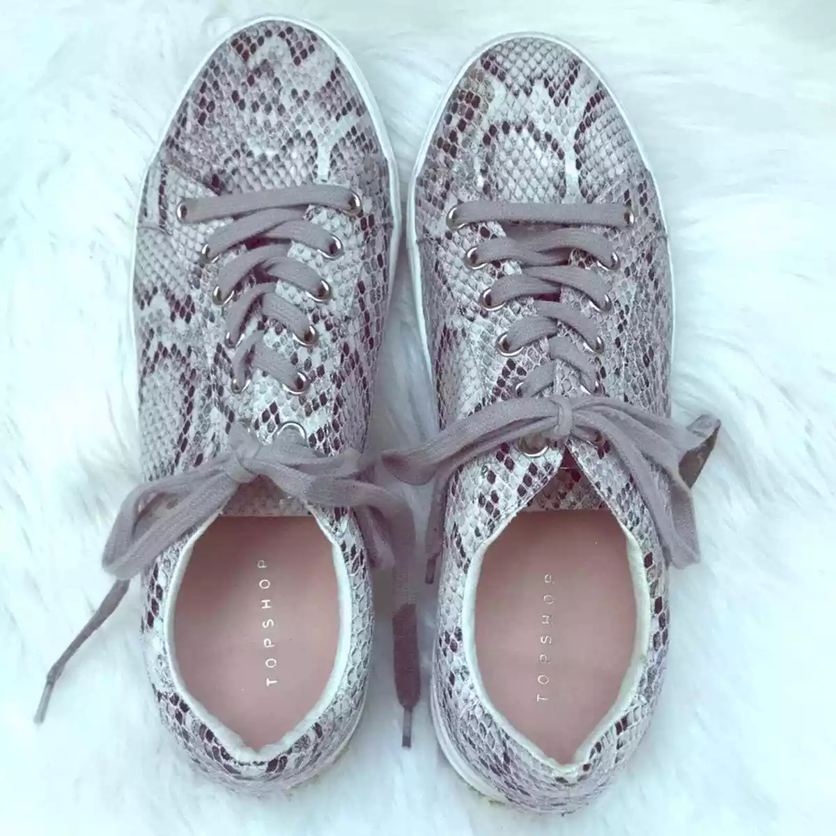 Topshop Faux Snakeskin Lace Up Tennis Shoes Sneakers eBay