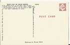 NICE VINTAGE PHOTO  POSTCARD BLACK HILLS OF SOUTH DAKOTA — photo 2