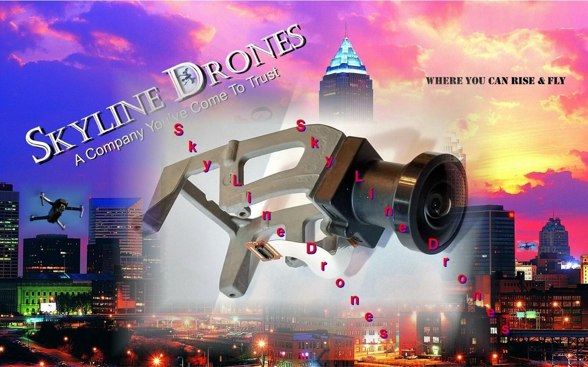 その他 BEBOP 2 Parrot Bebop 2 Parts - Accessories - Supplies | eBay