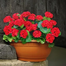 Fake Outdoor Flowers, 4 Pcs Artificial Flowers For Outdoors, Red Artificial G...