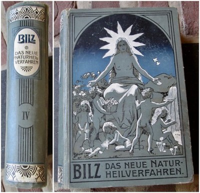 antiquarisches Buch Das neue Naturheilverfahren Band IV Eduard Bilz um 1900