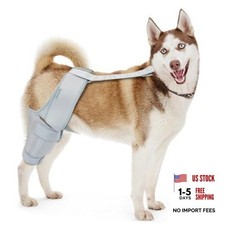Dog Knee Brace, Support for Large and Small Dogs with ACL, CCL, Cruciate
