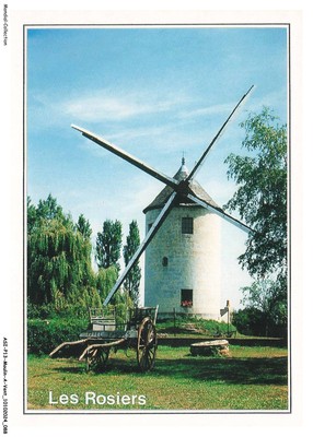 ASIP13-0903-MOULIN-A-VENT - die Rosen Mühle Des Basses-Terres