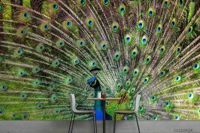 3D Peacock Spreading Tail Close-up Wall Murals Wallpaper Murals Wall Sticker