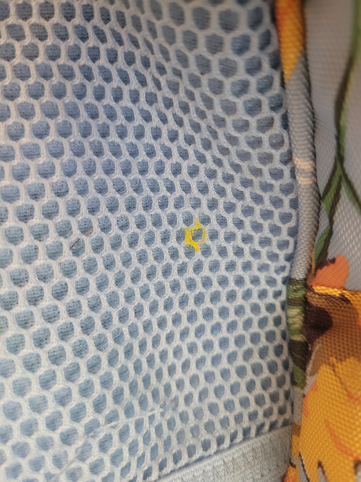 Picture 10 of 21