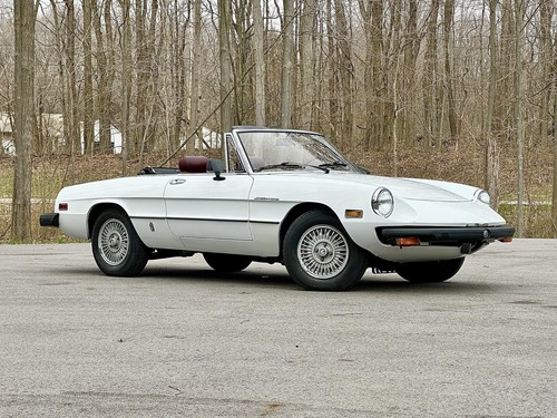1980 Alfa Romeo CALIFORNIA RUST FREE 48k ORIGINAL MILES 2 Family Owned - Picture 6 of 40