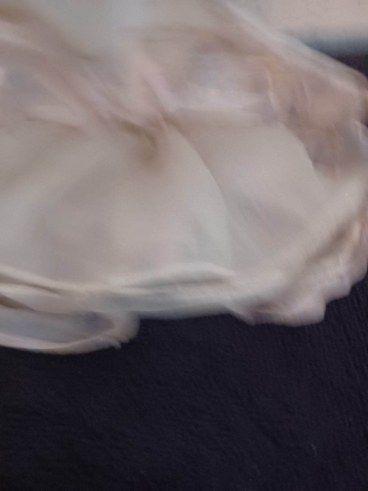 Picture 5 of 8