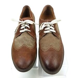 CLARKS 16326 Brown Leather Wingtips 