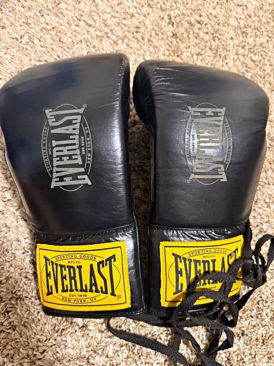 25+ Everlast Boxing Gloves for sale | Updated Oct 2026