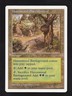 MTG 5th Edition Havenwood Battleground