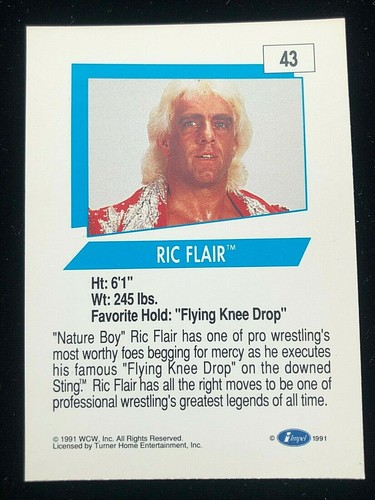 1991 Impel WCW World Championship Wrestling Pick Your Card to Complete the Set - Picture 22 of 48