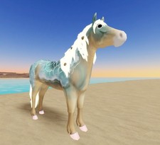 Wild Horse Islands    IUH Event Moonstone Sho...