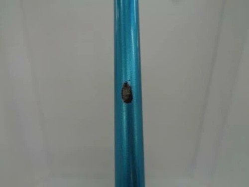 HONMA BERES E-06 2Star Driver 1W 10.5deg R-Flex ARMRQ X 43 2S 45.75in with H/C - Picture 5 of 9