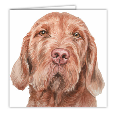 Hungarian Vizsla Card. Vizsla Dog Art Card. Blank Or Personalised For