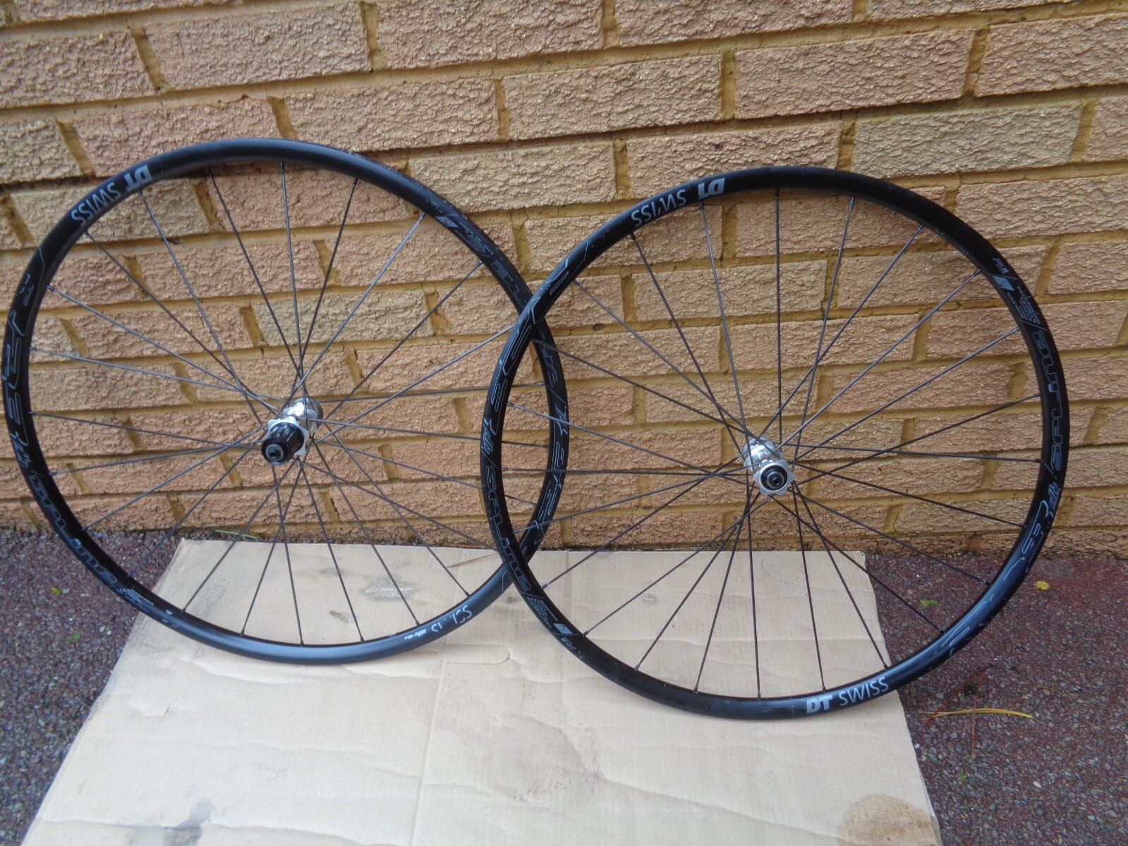 dt swiss r23 spline disc