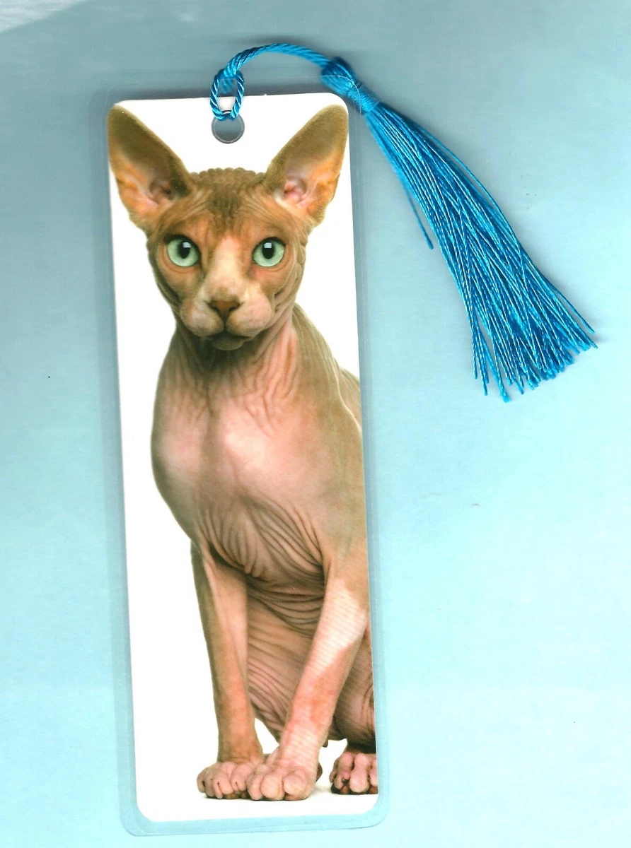 Sphynx cat sale lover gifts