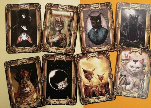 cat tarot card cards deck fortune telling rare vintage oracle cats supplies gift - Picture 5 of 12