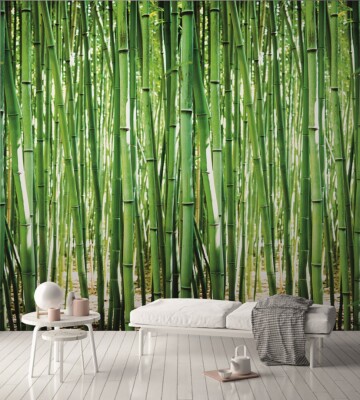 Restposten Vlies Fototapete Bambus Wald Natur Bamboo grn 1,59mx2,80m  A36901 5411012431587 | eBay.de