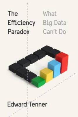 The Efficiency Paradox: What Big Data Can't Do - Hardcover - VERY GOOD