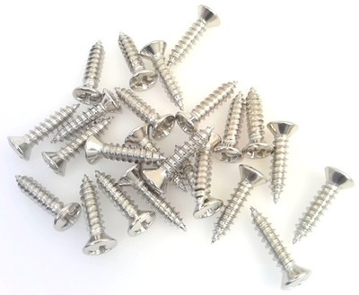 True Custom Shop  Nickel Pickguard and Plate Mounting Screws for Fender Tele